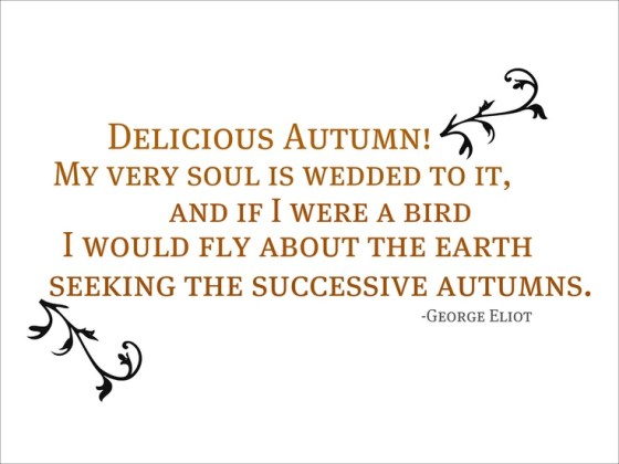 cfcd937e1dd4cbfd4eb513476ba333e0