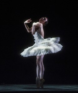 Cygne. Samantha Lynch. Photo by Erik Berg.