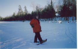 DAVID THE LITTLE TRACTOR