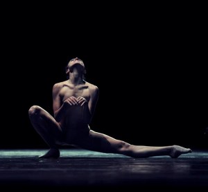 Elephant in a Black Box. Photo by Ignacio Urrutia.